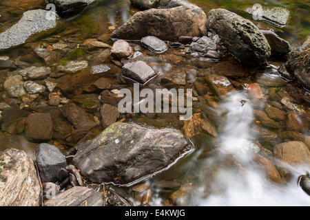 Water flows through a small creek bed. Stock Photo