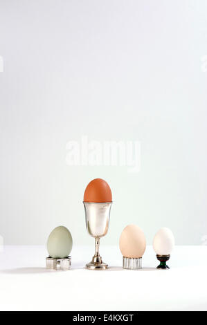 Four free range hens eggs in various cups on a white background. Stock Photo