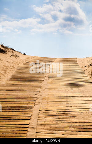 Wooden slatted beach access ramp leading over sand dunes. Stock Photo