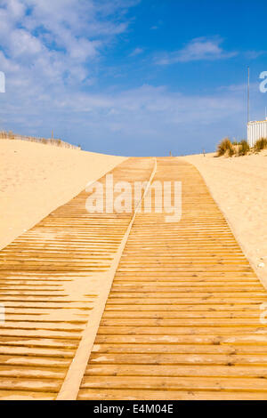 Wooden slatted beach access ramp leading over sand dunes. Stock Photo