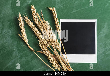 Polaroid photo frame with wheat on green chalkboard background. Stock Photo