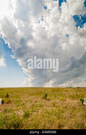 Spring Creek Prairie Denton, Nebraska Stock Photo - Alamy