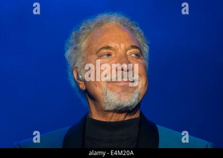 Welsh singer Tom Jones on stage at Chepstow Racecourse. Stock Photo