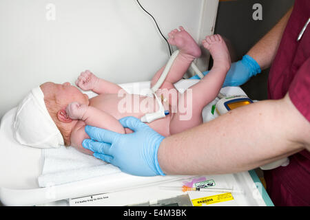 Midwife 's hands perform Physical examination health check test test on newborn / new born baby after childbirth / being born UK Stock Photo