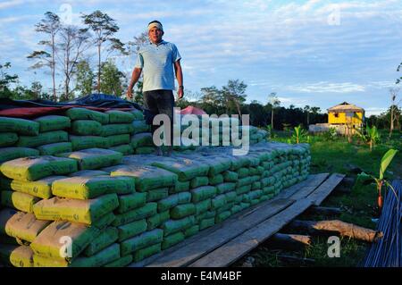 Cement downloading in Panguana. Department of Loreto .PERU Stock Photo