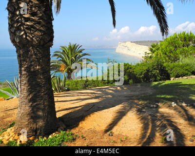A Palm Tree on a Cliff Shadows the Garden The shadow from the palm tree enhances the stunning view from the rocky cliff. Stock Photo