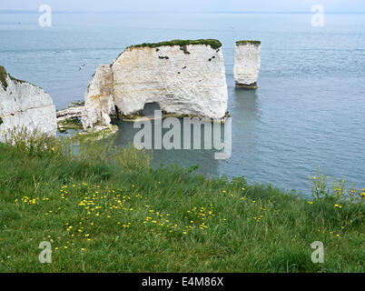 Old Harry Rocks, Handfast Point, Jurassic Coast, Dorset Stock Photo