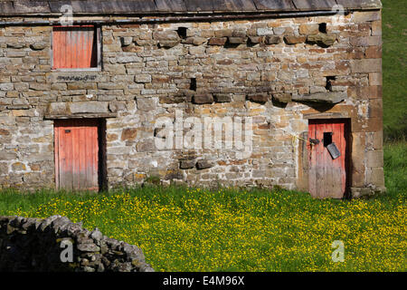 Stone barn with red doors, Swaledale, Yorkshire Dales