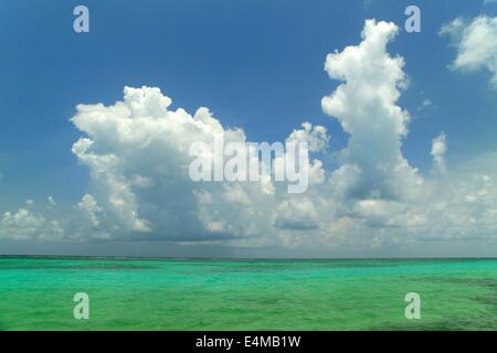 Beautiful view of the ocean from Ambergris Caye, Belize Stock Photo