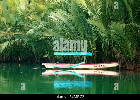 A tropical rainforest lagoon in Java, Indonesia. Stock Photo