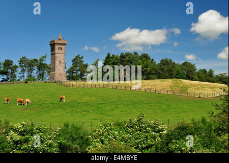 The Balmashanner Monument, Forfar, Angus, Scotland Stock Photo