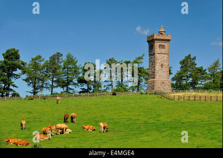 The Balmashanner Monument, Forfar, Angus, Scotland Stock Photo