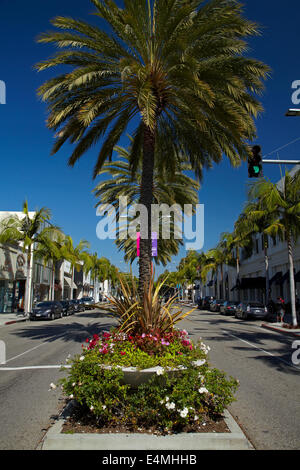 Palm trees on Rodeo Drive, luxury shopping street in Beverly Hills, Los Angeles, California, USA Stock Photo