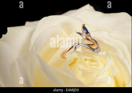 Ring in a white rose Stock Photo