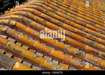 details on roof a palace of the Forbidden City Beijing China Stock Photo