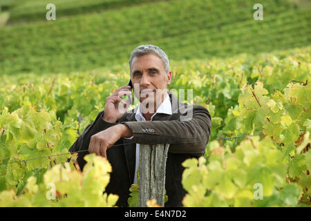 A mature man in a middle of a vineyard. Stock Photo