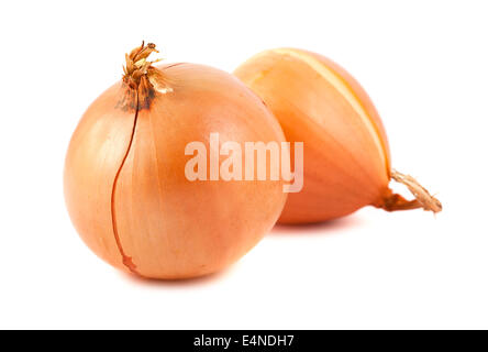 Pair of fresh golden onions Stock Photo