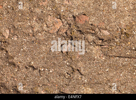 Concrete aged wall with cracks texture Stock Photo