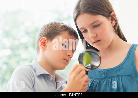 Boy and girl (8-9, 10-11) looking through magnifying glass Stock Photo