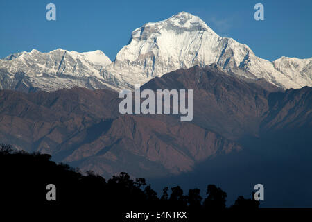 Dhaulagiri Peak (8167m), View from Poon Hill, Ghorepani, Annapurna Circuit Trek, Nepal Stock Photo