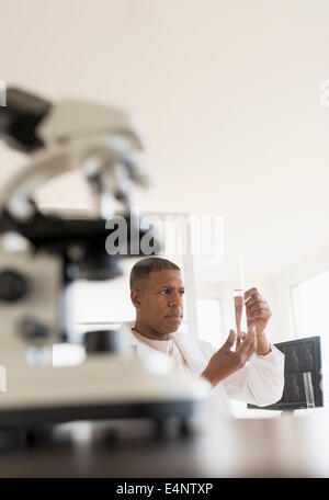 Male technician working in laboratory Stock Photo