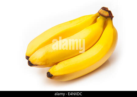 Bunch or hand of bananas isolated on a white studio background. Stock Photo