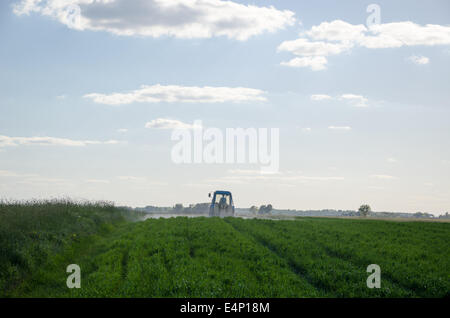 Tractor spray field with chemicals and man with metering tool in agriculture field and evening sunlight. Stock Photo