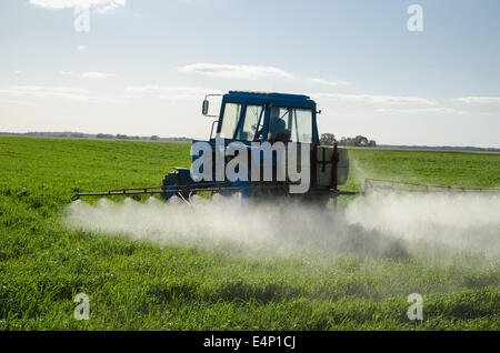 Tractor spray fertilize field with insecticide herbicide chemicals in agriculture field and evening sunlight. Stock Photo