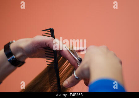 close up of hairdresser hand cut hair of  woman Stock Photo