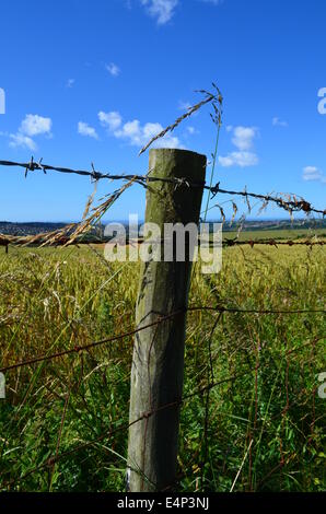 Barbed wire fence in the open countryside of Sussex in England. Stock Photo