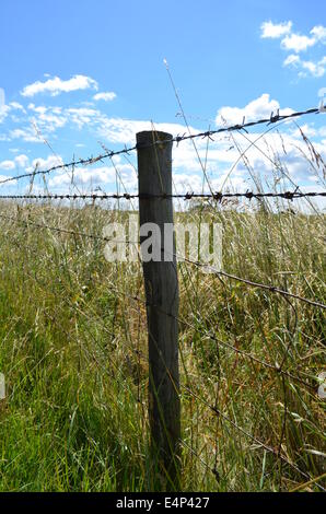 Barbed wire fence along open pasture land in England. Stock Photo
