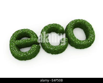 eco text made of grass and plates Stock Photo