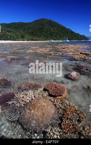 Fringing coral reef at low tide, Fitzroy Island, Great Barrier Reef Marine Park, near Cairns, Queensland, Australia. No PR Stock Photo