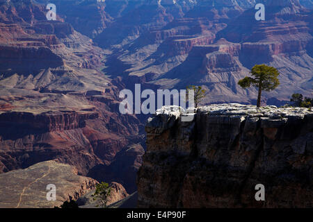 Grand Canyon viewed from Bright Angel Trailhead, South Rim, Grand Canyon National Park, Arizona, USA Stock Photo