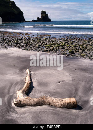 Driftwood on sandy beach at Talisker Bay, Isle of Skye, Scotland, UK Stock Photo