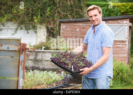 Farmer Planting Seedlings On Organic Farm Stock Photo