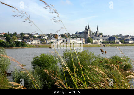 historic city of Bloise on the river banks of the Loire, France Stock Photo