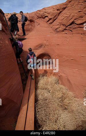 Tourist, tumbleweed, and ladder at entry to Rattlesnake Canyon, near Page, Navajo Nation, Arizona, USA Stock Photo