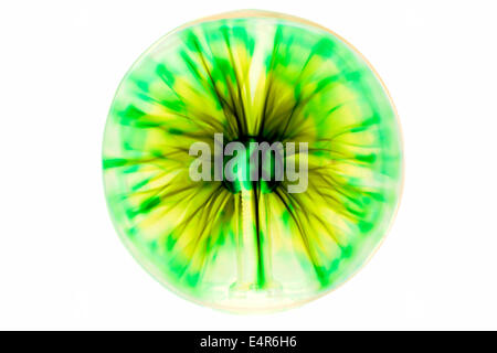 Plasma ball inverted isolated on white Stock Photo