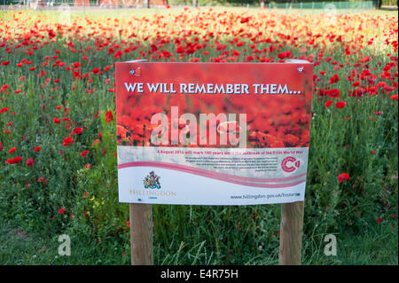 Northwood, London, UK, 16 July 2014.  Councils across the UK are marking the centenary of the outbreak of World War 1 with commemorative poppy sowing.  This local council has sown a total of 21kg of seeds, a mix of Flanders poppies and Golden Coreopsis, covering a total area of 10,000 square metres across 21 separate locations in the borough.  Poppies were first associated with war and Remembrance Day because they were the only flowers that would grow on the disturbed earth of battlefields in Western Europe.      Credit:  Stephen Chung/Alamy Live News Stock Photo