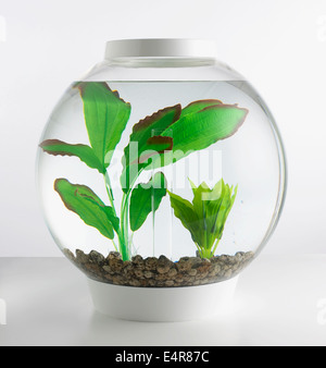 Goldfish bowl containing artificial plants Stock Photo