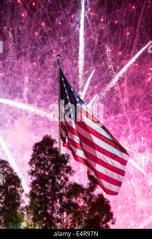 A bright, loud fireworks display on the 4th of July for Independance Day in Los Angeles, California, USA Stock Photo