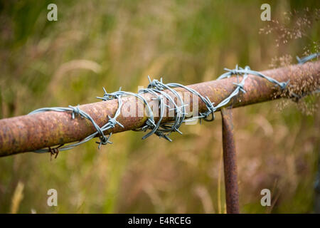 Rusty gate with barbed wire wrapped around it Stock Photo