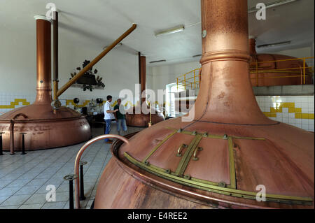 Zatec brewery, which recently sold its majority share to the multinational corporation Carlsberg, heads to the Russian and Canadian market. Currently, the Zatec beer is exported to 17 countries on four continents, brewery brews 11 kinds and brands of beers. Zatec brewery is seen in Zatec, Czech Republic, July 16, 2014. (CTK Photo/Libor Zavoral) Stock Photo