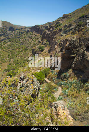 Caldera de Bandama, volcanic caldera, Inland Gran Canaria Stock Photo ...