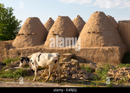 beehive houses, Harran, Turkey Stock Photo