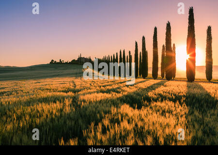 In the heart of Tuscany, in the countryside of the Val d'Orcia, stands Agriturismo Poggio Covili Stock Photo