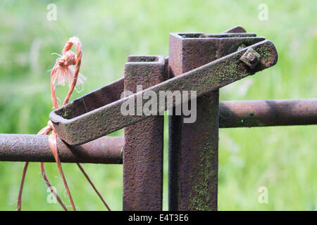 Metal Gate Latch Stock Photo