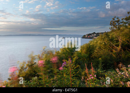 View from Poet's Walk, Clevedon. North Somerset, England, UK. Stock Photo