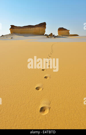 Footprints in Desert Landscape, Matruh Governorate, Libyan Desert, Sahara Desert, Egypt, Africa Stock Photo